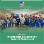 semillas